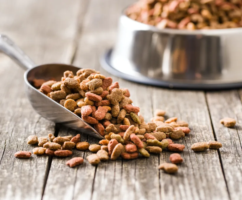 Cat food, dog food, cat treats, pet food, pet food manufacturers