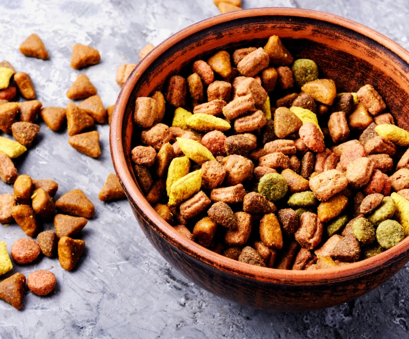 Cat food, dog food, cat treats, pet food, pet food manufacturers